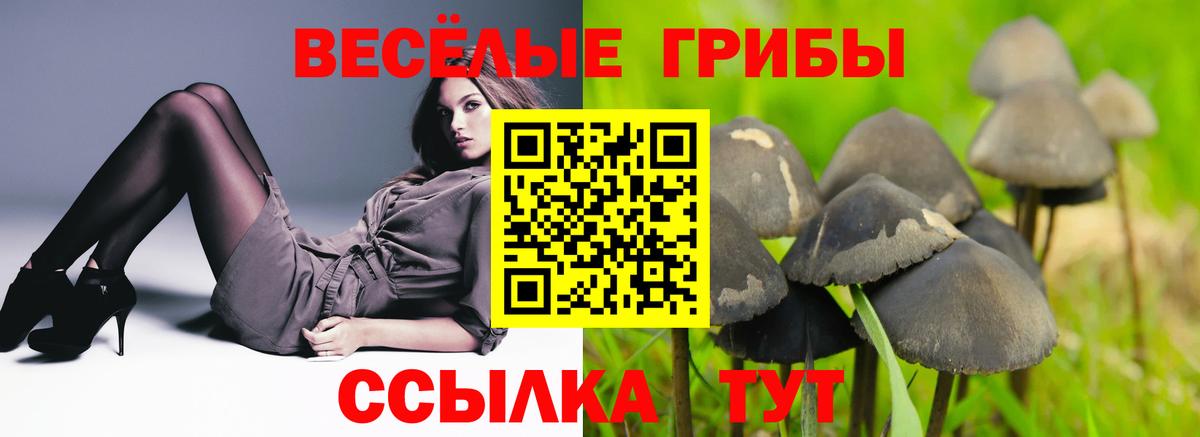Ленинск-Кузнецкий  Галлюциногенные грибы MAGIC MUSHROOMS  хочу   Вход с VPN 